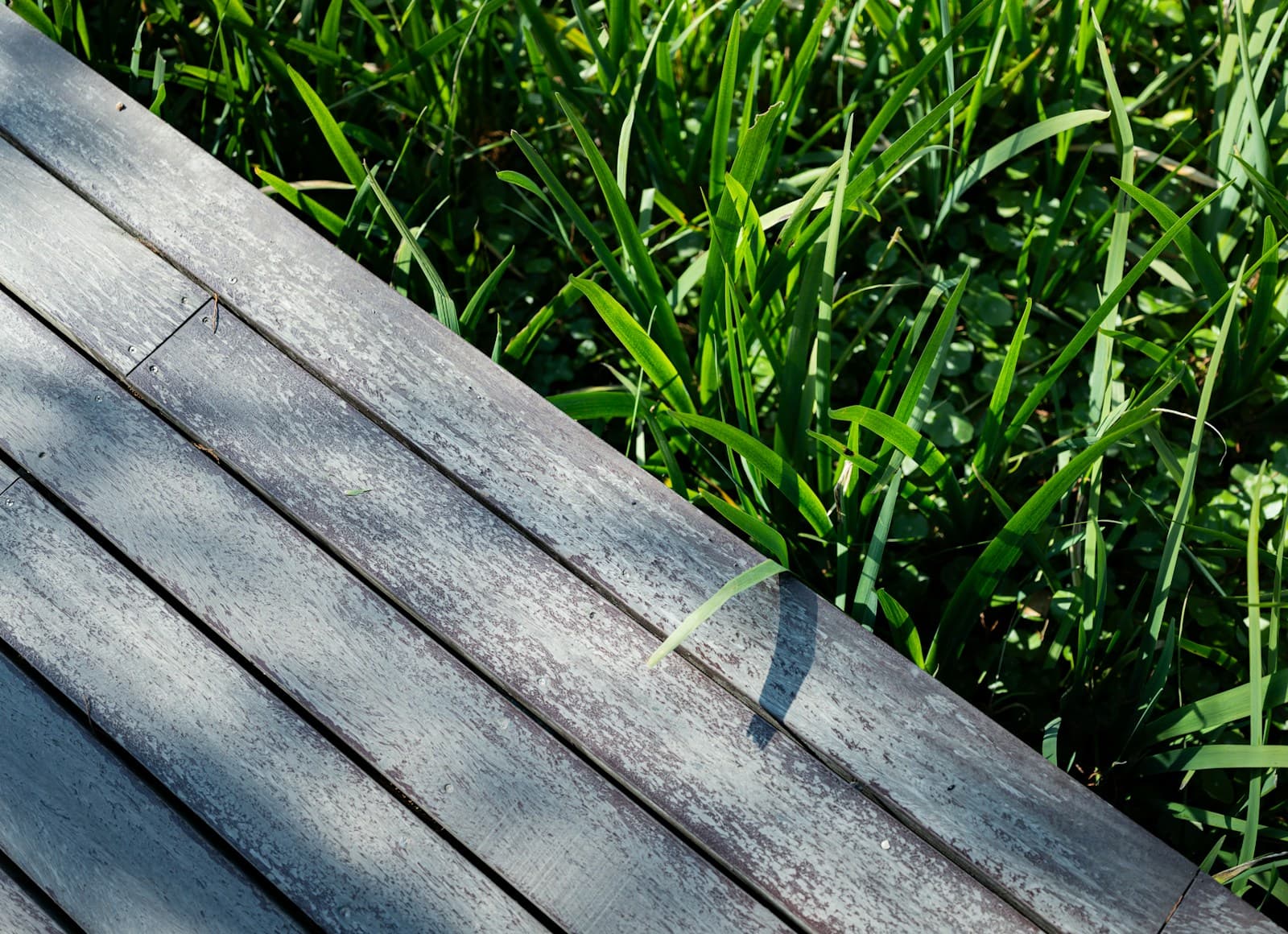 Trädäck som möter gräsmatta i ett trädgårdsbygge